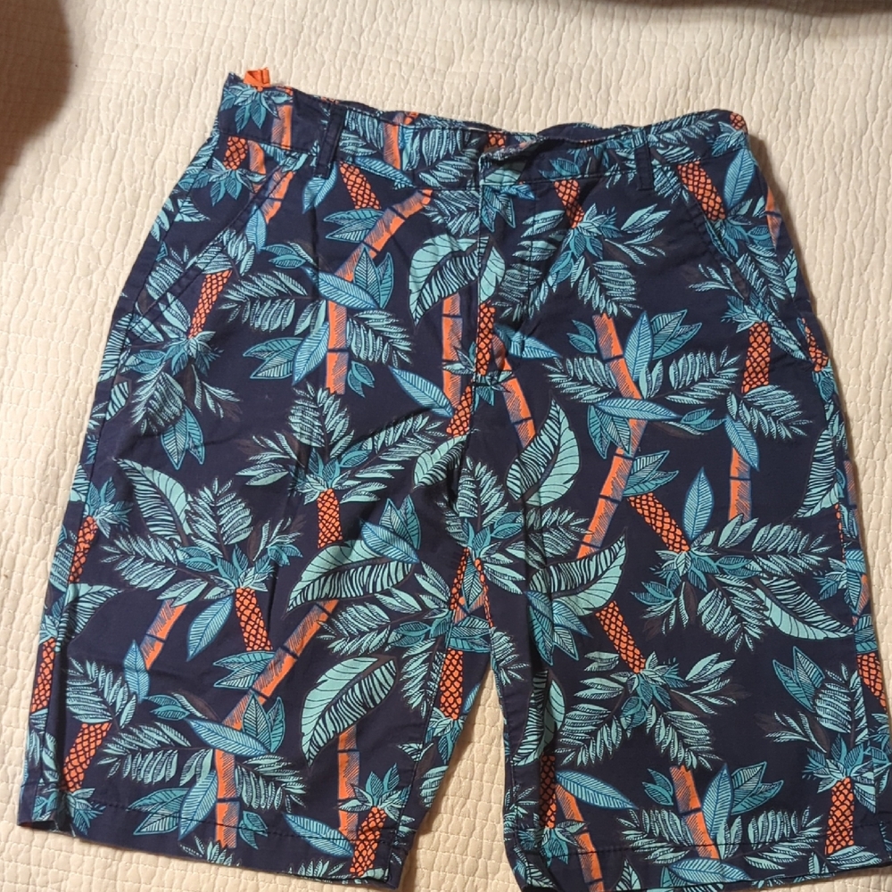 Old Navy Blue and Orange Tropical Swim Shorts